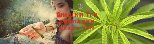 дмт Протвино