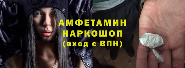 apvp Рославль