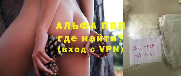 apvp Рославль