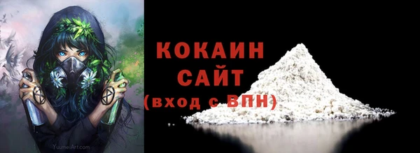 apvp Рославль