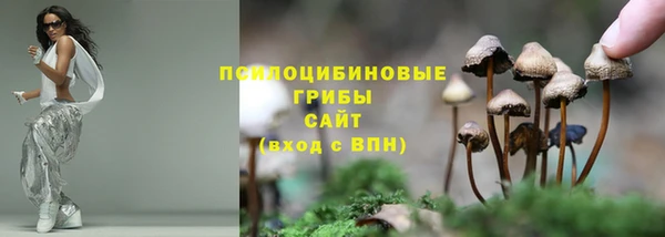 метадон Ростов