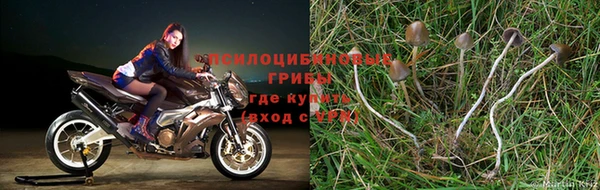 соль курить ск Гатчина