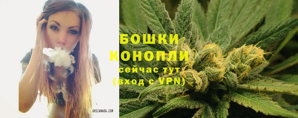 apvp Рославль
