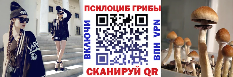 Галлюциногенные грибы Cubensis блэк спрут сайт Астрахань
